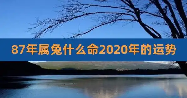 87年属兔什么命2023年的运势
