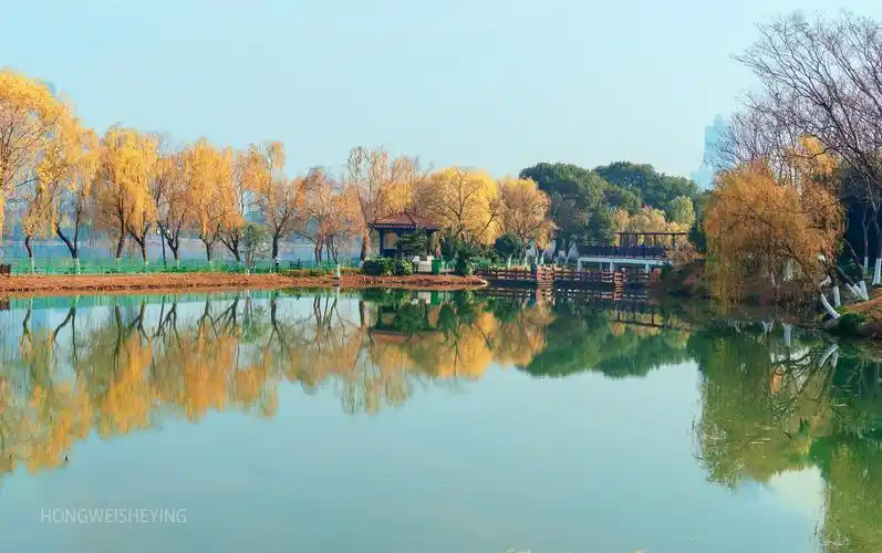 金银湖秋冬小景