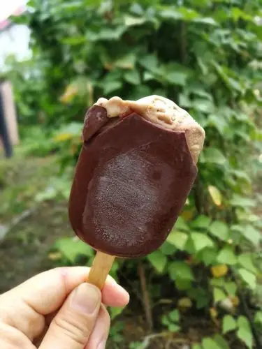 可橙橙做的秒杀梦龙,4款巧克力脆皮雪糕