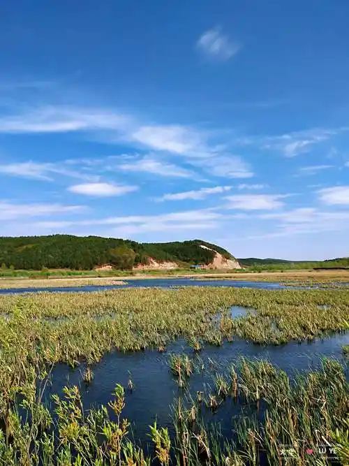 初夏 我们来到东辽河源头