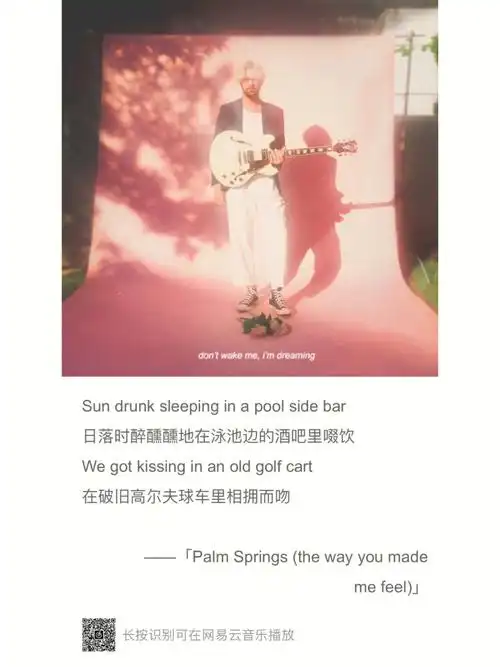 palm springs (the way you made me feel)-virginia to vegassun