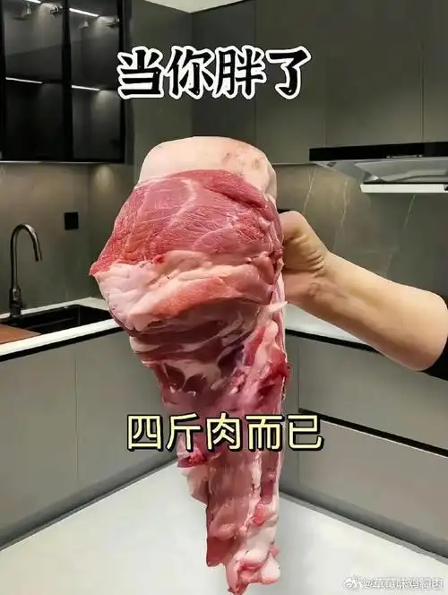 减肥突然具像化了#  十斤肉 二十斤肉 三十斤肉,把数字具像化,直观看