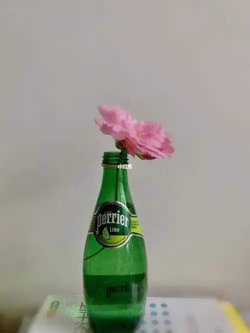 巴黎水瓶子做花瓶挺好看的