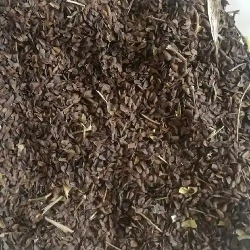 2吨仓储:山东省新泰市汶南镇中药材基地出售徐长卿种子会员信息联 系