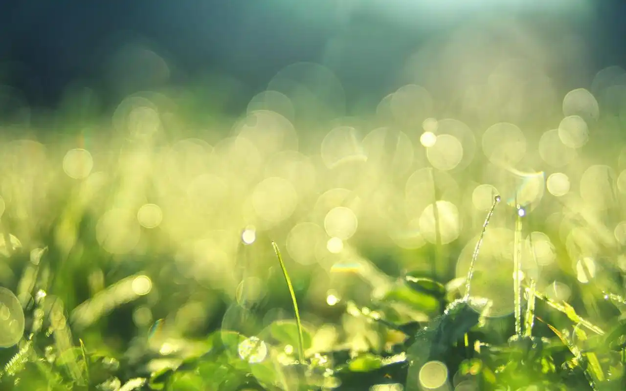 心情淡然释怀的图片