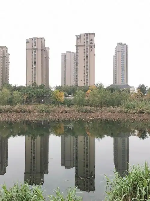 南龙湖湿地公园