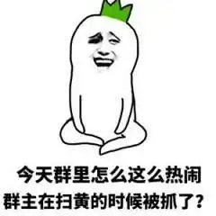 今天群里怎么这么热闹,群主在扫黄的时候被抓了!