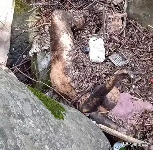 屏山一水潭惊现女尸真实身份令人虚惊