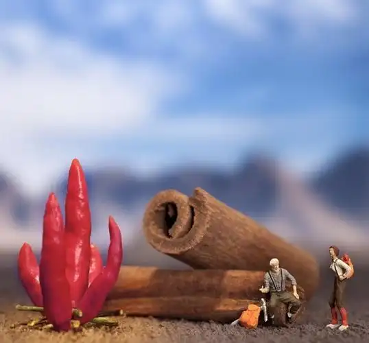 摄影师用水果蔬菜拍出了惊人的微观摄影作品