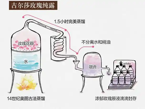 素颜也能透,亮,润的秘密,是它|精油|纯露|玫瑰精油|保湿|护肤品_网易