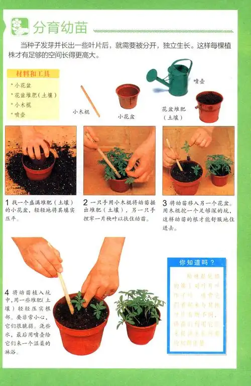 养花家庭种菜空间大全实用书籍休闲养草种花养花书籍