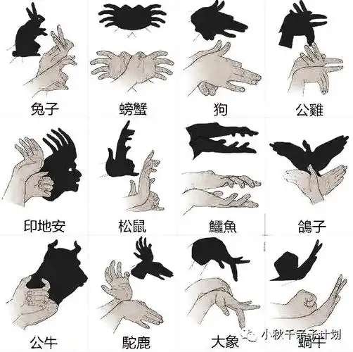 你是我的影子, 是我眼中的太阳! 一起来玩影子变变变吧