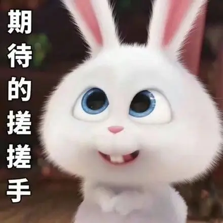 期待的搓搓手 - 《爱宠大机密》可爱的小白兔字 67 676767