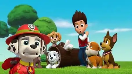 狗狗巡逻队 毛毛想起上次莱德队长带领汪汪队执行任务