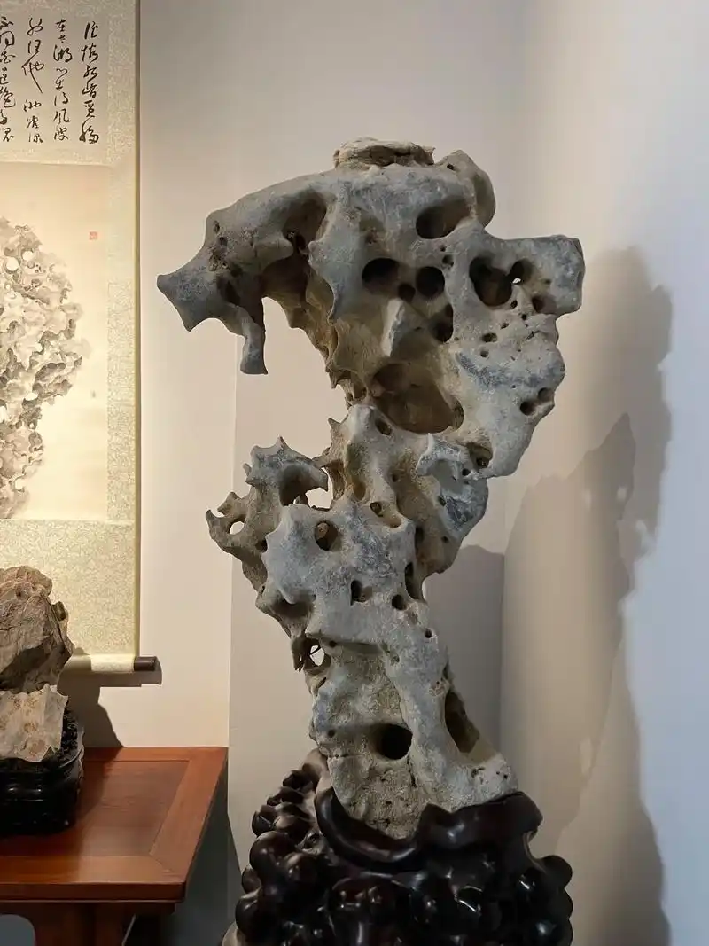 石之美 不可言#太湖石 #石来运转 #纯天然奇石 #以石会友 - 抖音