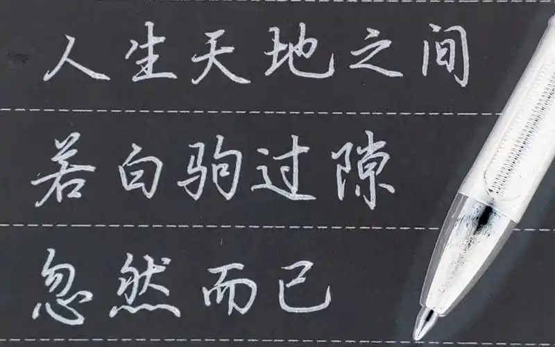 每日坚持练字人生天地之间若白驹过隙忽然而已