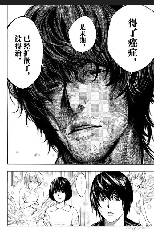 如何评价大场鸫小畑健的作品铂金终局