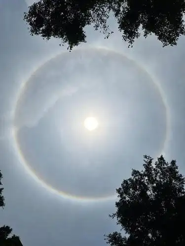 快抬头看!广东多地出现日晕!