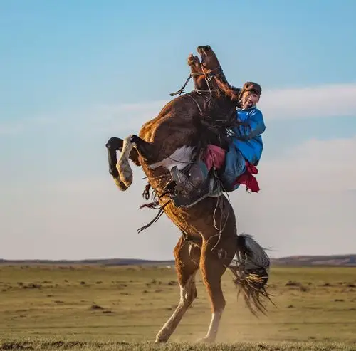 凤凰马场的蒙古族骑手