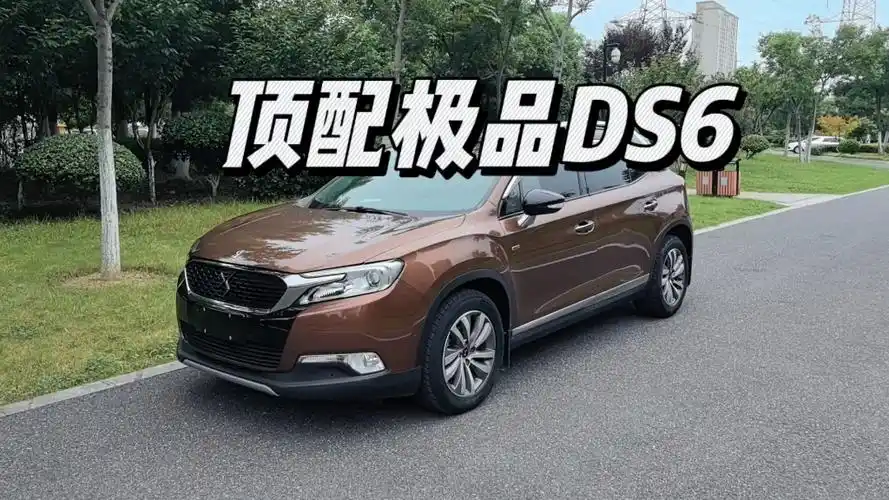 今年收到的一台超极品ds6.除了奢华还是奢华.