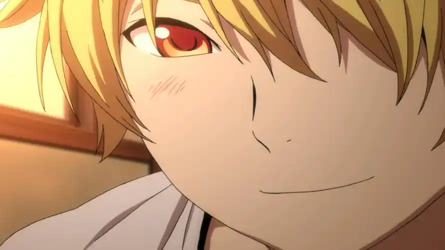 11月29日是「野良神」雪音作为神器的生日  9