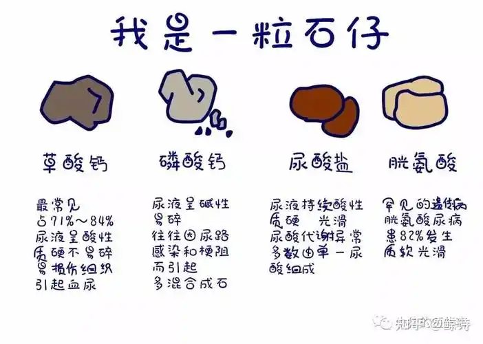 肾结石为什么会自动下来