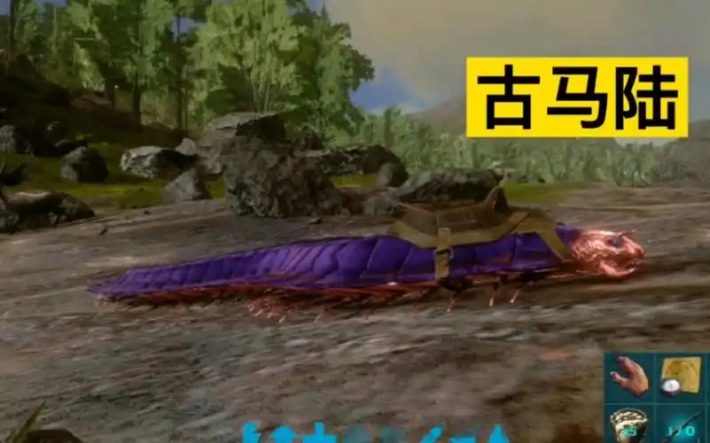 泽白:方舟生存进化古马陆驯服简单