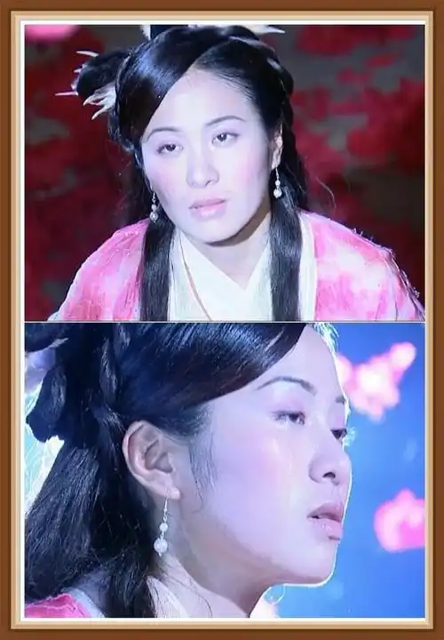 公子门下,不但见多识广,医卜星相无所不知,而且暗器功夫也是独步江湖