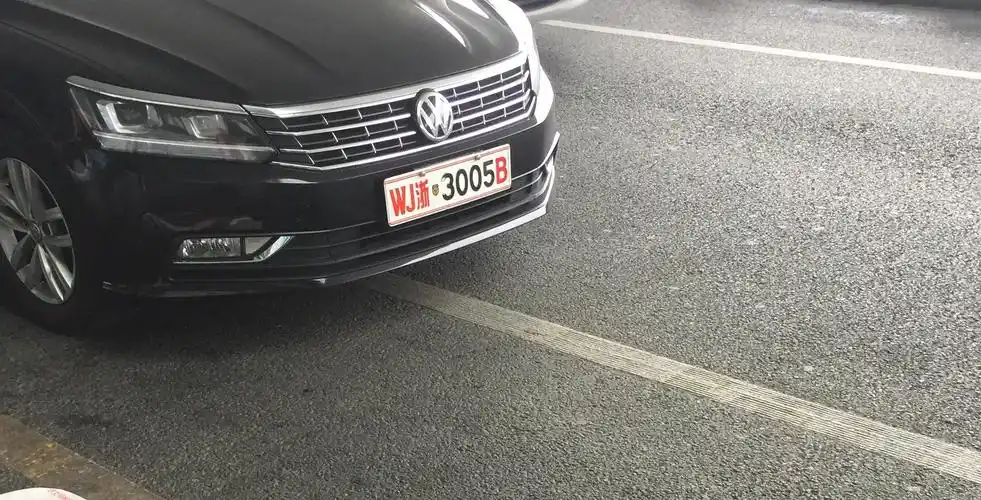 [问题求解]这是啥车牌?好厉害