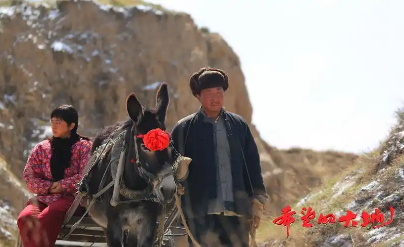 广电总局"庆祝新中国成立70周年推荐播出参考剧目名单"的重点电视剧