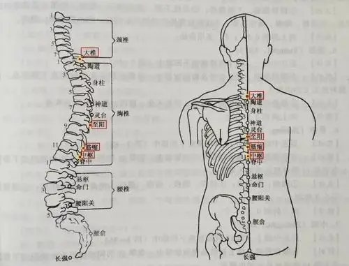 治疗气郁体质的拔罐方法生活妙方