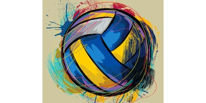 望城区时代排球代理品牌,排球