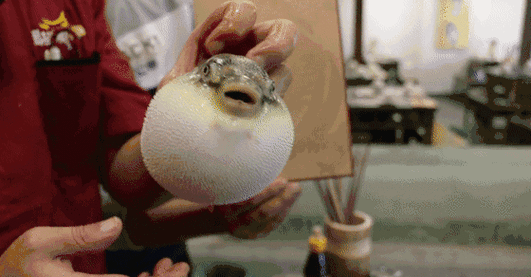 560_292gif 动态图 动图