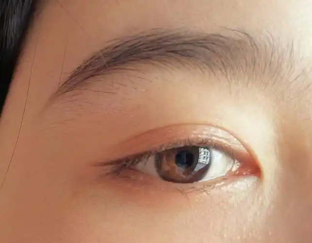 我应该属于杏眼吧