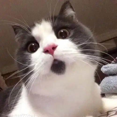 unbelievable!吹风机可以把螺丝钉?