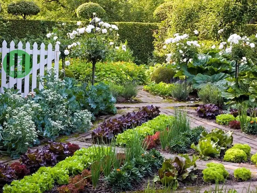 将菜园设计成漂亮的景观(三)