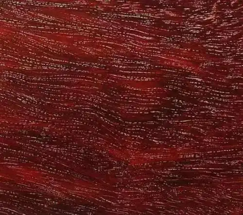 大叶紫檀最大有多大图片