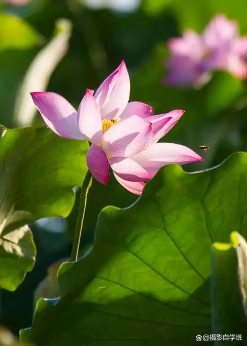 640_896竖版 竖屏