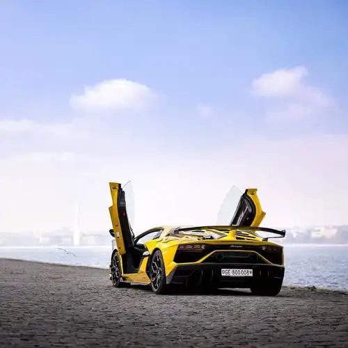 兰博基尼aventador svj实车 黄色的运动感