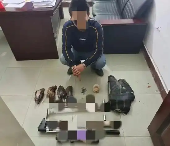 英外出携带枪支猎捕野生动物,先后射杀了野生斑鸠3只和野生竹鸡1只