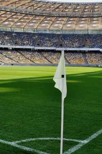 足球场,绿色的草地