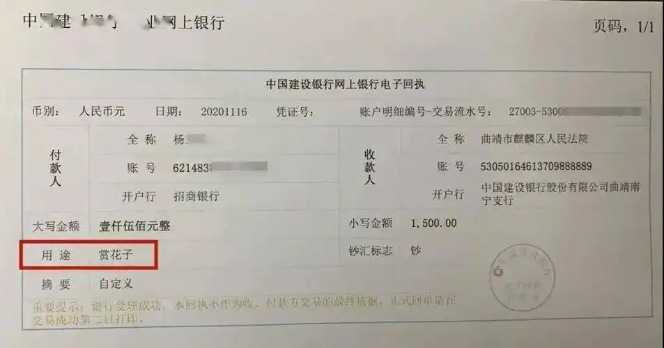 用亲生儿子抵债,转账时叫嚣"赏花子".