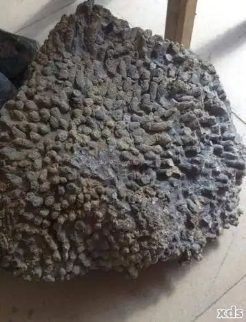 蜂窝石价格:一般多少?值钱吗?