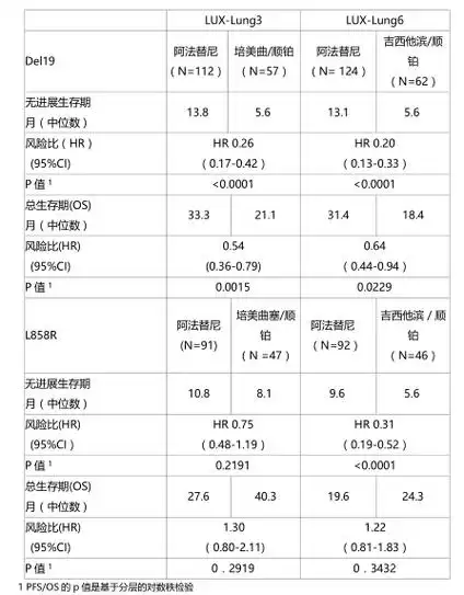 马来酸阿法替尼片