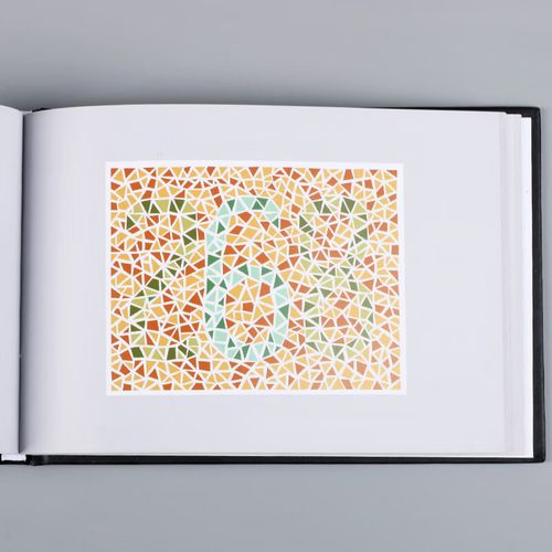 色盲检查图第六6版色盲色弱检测图驾照/体检色盲色弱检查检测图全套