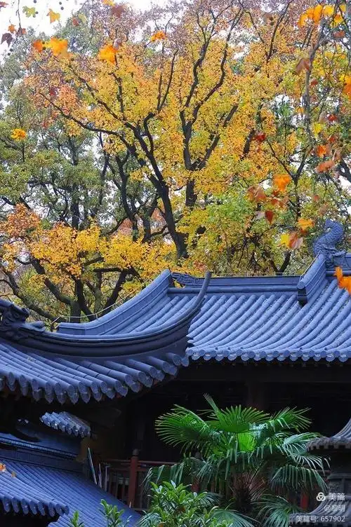 其它 古刹禅意在,寺院秋意浓 写美篇暖冬的灵谷寺庙