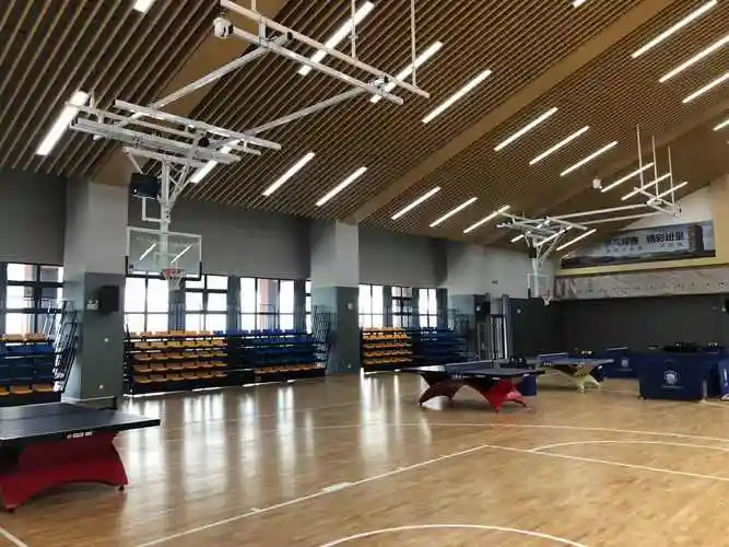 定制天花板篮球架遥控折叠篮球架体育馆大学