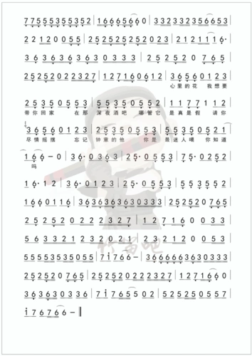 学会《野狼disco》让他"哇哦"一下!