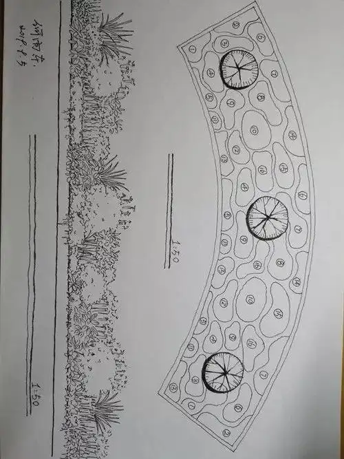 手绘,花境师必备新技能 ;大师,领你进入手绘新天地