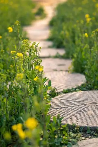 春天的阳光格外明媚,春姑娘展开了笑脸,太阳,红红的光束射过来,那温柔